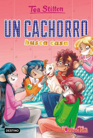 CLUB DE TEA 35  UN CACHORRO BUSCA CASA