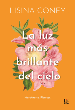 LUZ MS BRILLANTE DEL CIELO, LA
