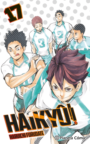 HAIKYU!! N 17