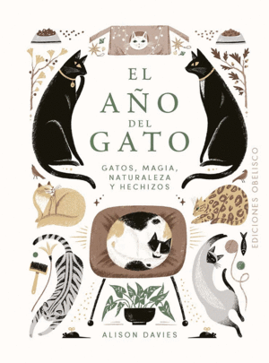 EL AO DEL GATO