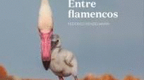 ENTRE FLAMENCOS