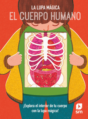 EL CUERPO HUMANO   LA LUPA MAGICA