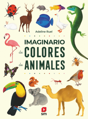 IMAGINARIO DE COLORES DE ANIMALES   CARTONE