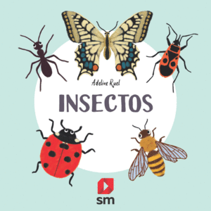 INSECTOS    COLECCION NATURALEZA  CARTONE