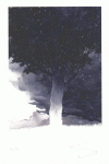 ILUSTRACI�N 1 EL VIENTO COMENZ� A MECER LA HIERBA