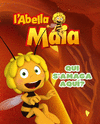 QUI S'AMAGA AQU�  LLIBRE GOMA ESPUMA