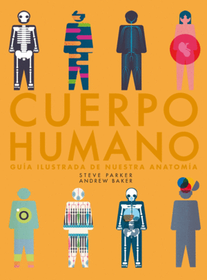 CUERPO HUMANO