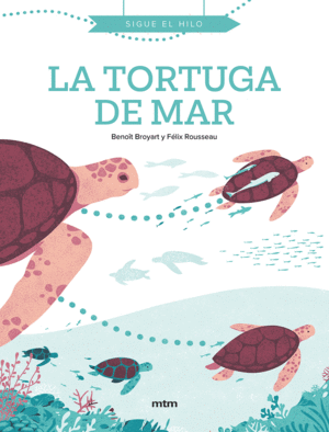 LA TORTUGA DE MAR    SIGUE EL HILO