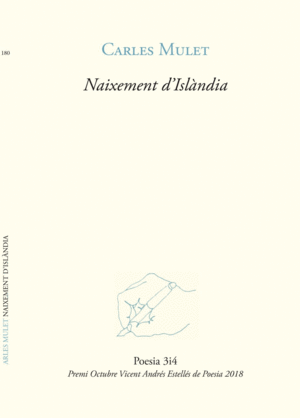 NAIXEMENT D'ISLANDIA