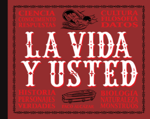 LA VIDA Y USTED