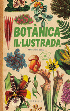 BOTANICA ILLUSTRADA