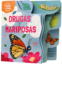 ORUGAS Y MARIPOSAS. EL CICLO DE LA VIDA