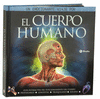 CUERPO HUMANO  EL   DESPLEGABLE