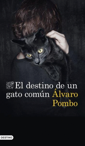 EL DESTINO DE UN GATO COMN