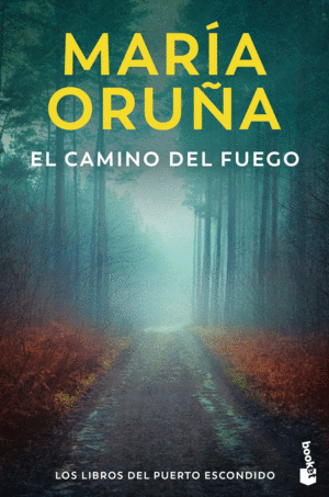 EL CAMINO DEL FUEGO   PUERTO ESCONDIDO 5