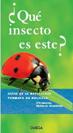 QUE INSECTO ES ESTE?