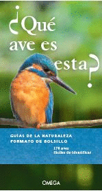 QUE AVE ES ESTA?