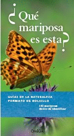 QUE MARIPOSA ES ESTA?