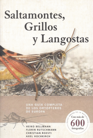 SALTAMONTES GRILLOS Y LANGOSTAS