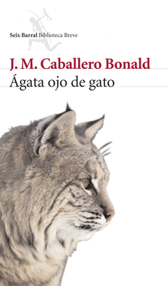 �GATA OJO DE GATO
