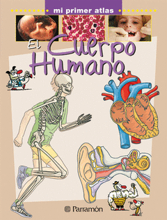 CUERPO HUMANO  EL