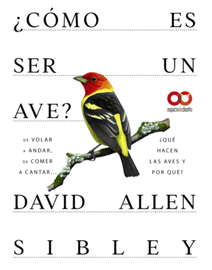 COMO ES SER UN AVE? DE VOLAR A ANIDAR, DE COMER A CANTAR... QUE HACEN LAS AVES Y