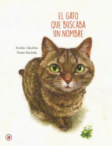 EL GATO QUE BUSCABA UN NOMBRE