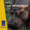 SC UN HIPOPTAM CARTONE
