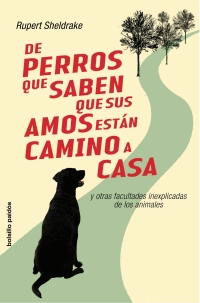 DE PERROS QUE SABEN QUE SUS AMOS ESTAN C