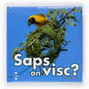 SAPS ON VISC  CASTILLO