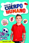 COMO ES EL CUERPO HUMANO