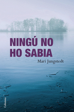 NING NO HO SABIA