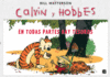 CALVIN Y HOBBES 1 EN TODAS PARTES HAY TESOROS