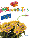 POR PROYECTOS, LAS FLORES, EDUCACION INFANTIL, 3-5 AOS