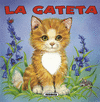 LA GATETA  CARTONE