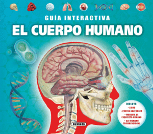 EL CUERPO HUMANO   GUIA INTERACTIVA