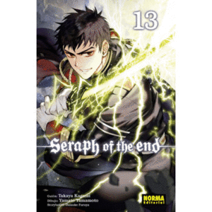 SERAPH OF THE END  13