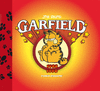 GARFIELD N6