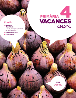 VACANCES 4 PRIMARIA VALENCIA