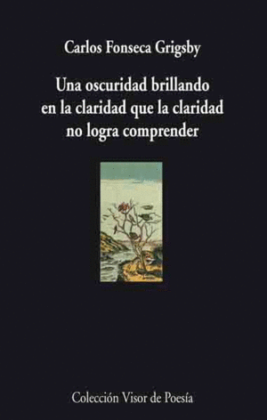 OSCURIDAD BRILLANDO EN LA CLARIDAD QUE LA CLARIDAD NO LOGRA COMPRENDER