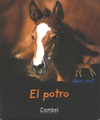 POTRO  EL