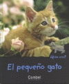 PEQUE�O GATO  EL