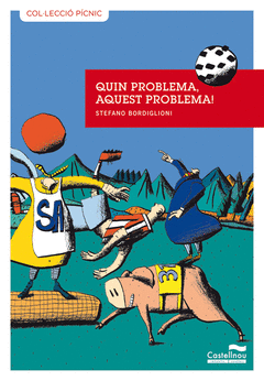 QUIN PROBLEMA, AQUEST PROBLEMA!
