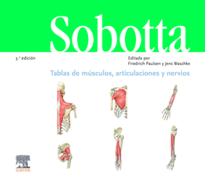 SOBOTTA. TABLAS DE MSCULOS, ARTICULACIONES Y NERVIOS (3 ED.)