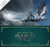 ANIMALES FANTASTICOS Y DONDE ENCONTRARLOS  ARTE PELICULA