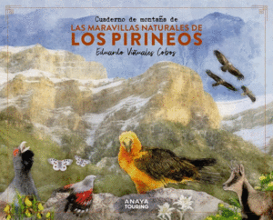 CUADERNO DE MONTAA DE LAS MARAVILLAS NATURALES DE LOS PIRINEOS