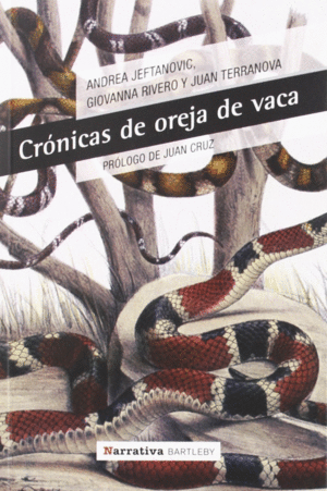 CRNICAS DE OREJA DE VACA