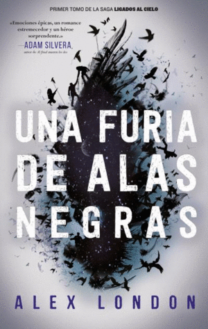 LIGADOS AL CIELO 1 UNA FURIA DE ALAS NEGRAS