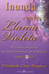 INUNDA EL MUNDO CON LLAMA VIOLETA