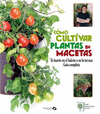 COMO CULTIVAR PLANTAS EN MACETAS